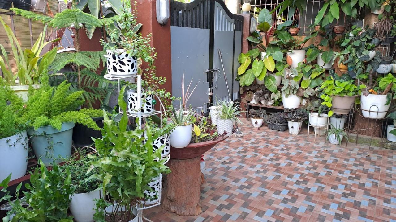 פורטו פרינססה Dalinda'S Homestay מראה חיצוני תמונה